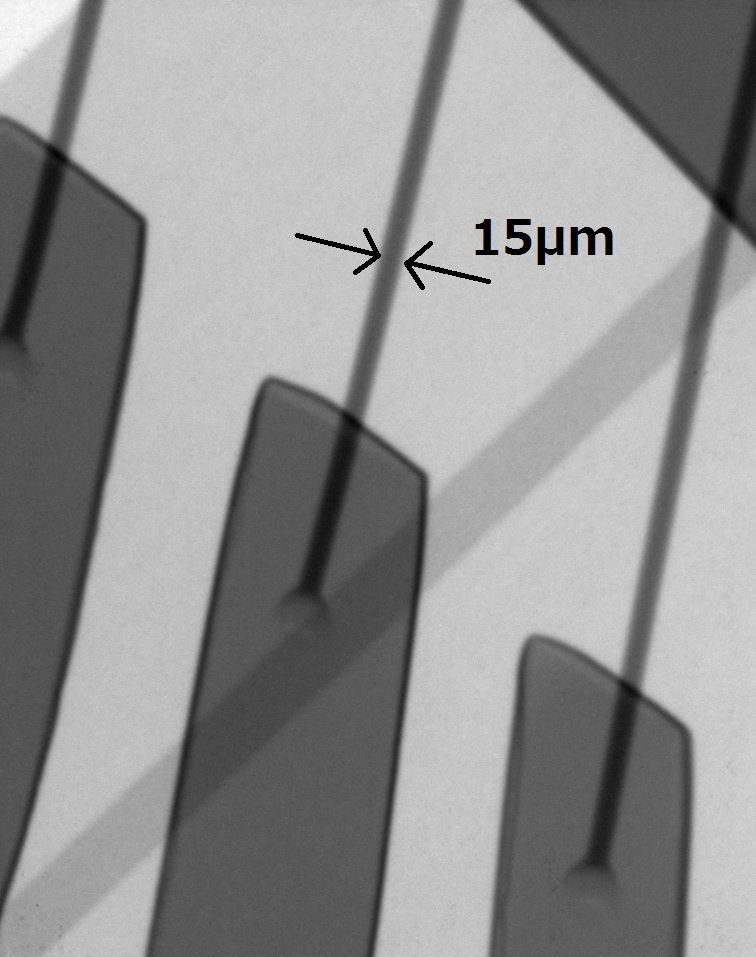 Bonding wire (300x)